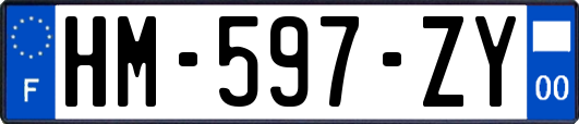 HM-597-ZY