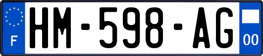 HM-598-AG