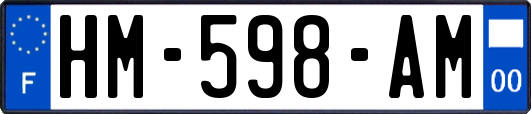HM-598-AM