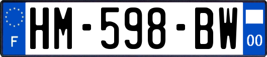 HM-598-BW