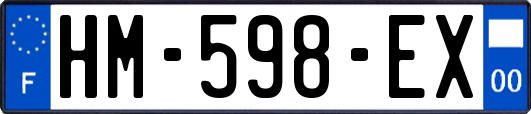 HM-598-EX