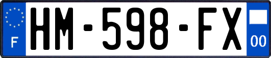 HM-598-FX