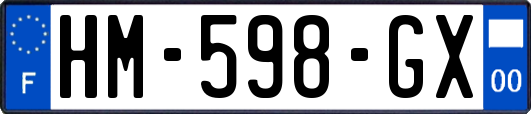 HM-598-GX