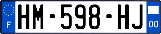 HM-598-HJ