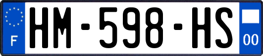 HM-598-HS