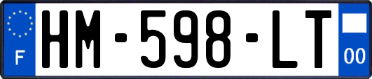 HM-598-LT