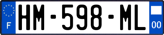 HM-598-ML