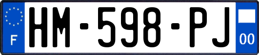 HM-598-PJ