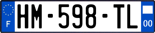 HM-598-TL