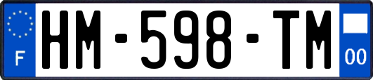 HM-598-TM