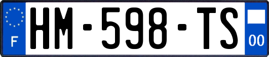 HM-598-TS