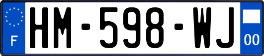 HM-598-WJ