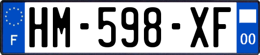 HM-598-XF