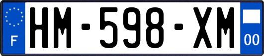 HM-598-XM