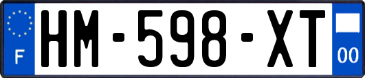 HM-598-XT