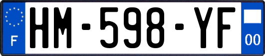 HM-598-YF