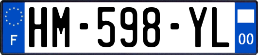 HM-598-YL