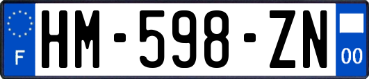 HM-598-ZN