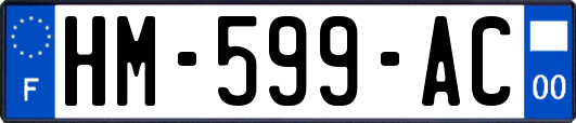 HM-599-AC