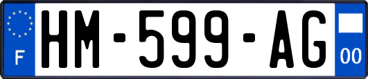 HM-599-AG