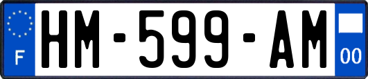 HM-599-AM