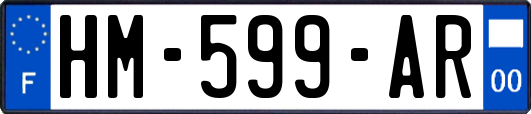 HM-599-AR