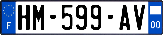 HM-599-AV