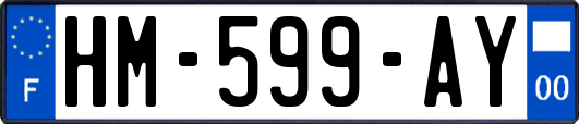 HM-599-AY