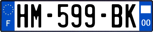 HM-599-BK