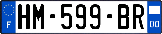 HM-599-BR