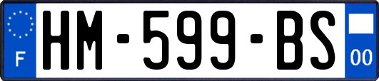 HM-599-BS