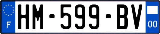 HM-599-BV