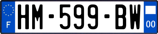 HM-599-BW
