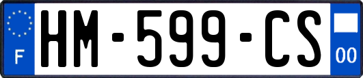 HM-599-CS