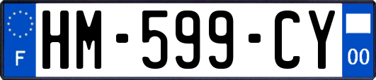 HM-599-CY