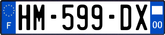 HM-599-DX
