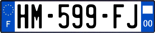 HM-599-FJ