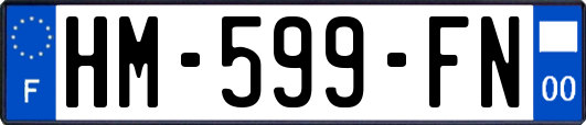 HM-599-FN