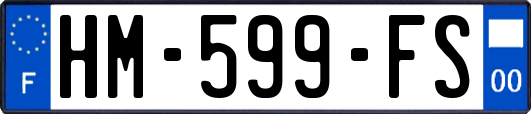 HM-599-FS