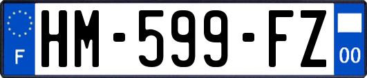 HM-599-FZ