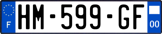 HM-599-GF