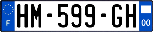 HM-599-GH
