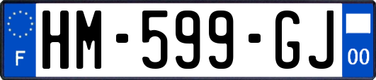 HM-599-GJ