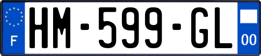 HM-599-GL
