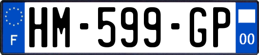 HM-599-GP