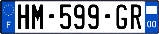 HM-599-GR