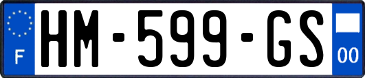 HM-599-GS