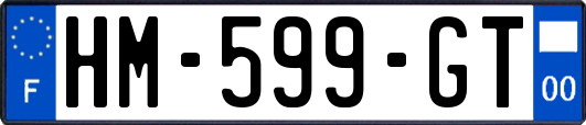 HM-599-GT