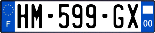 HM-599-GX