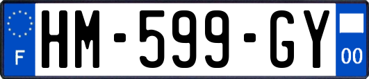 HM-599-GY